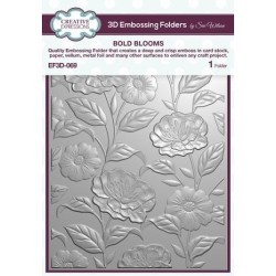 (EF3D-069)Creative Expressions Sue Wilson 3D Bold Blooms 3D Embossing Folder