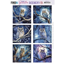(BBSC10014)Push-Out Scenery - Berries Beauties - Owl Square