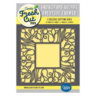(ACC-DI-31411-55)Clarity SNOWDROPS SQUARE APERTURE FRAMER DIE SET