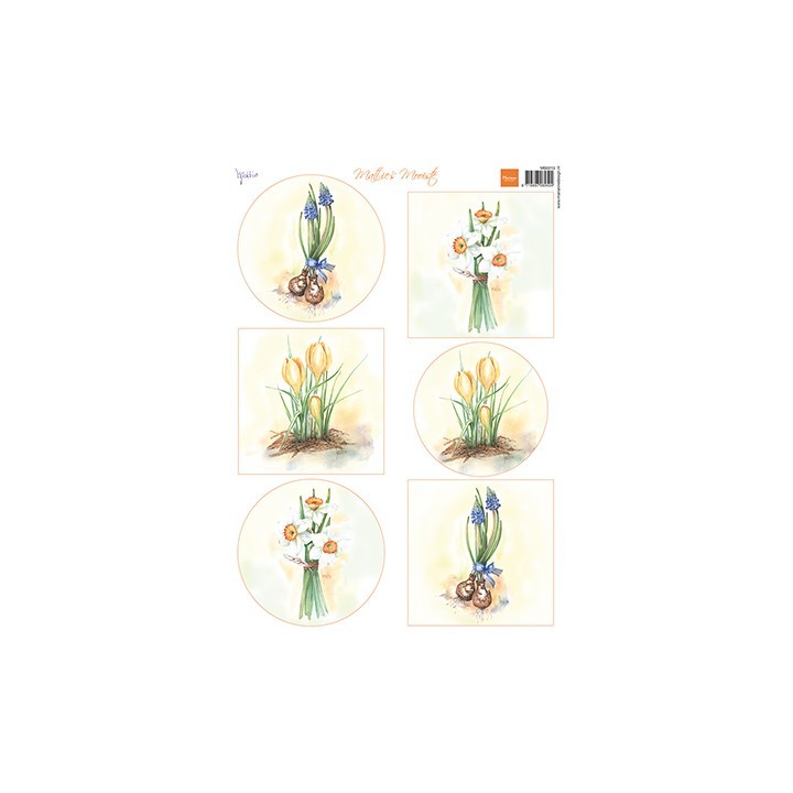 (MB0213)3D Mattie's Mooiste - Flower bulbs