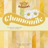 (ACC-CA-31457-88)Groovi - Designer paper CHAMOMILE LOOSE LEAF INFUSIONS COLLAGE PAPER 8" X 8"