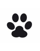 Easy punch paw print 15X16MM