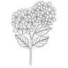 (NG-HY-CA-ST-HYD)Crafter's Companion Hydrangea Clear Stamp Hydrangea