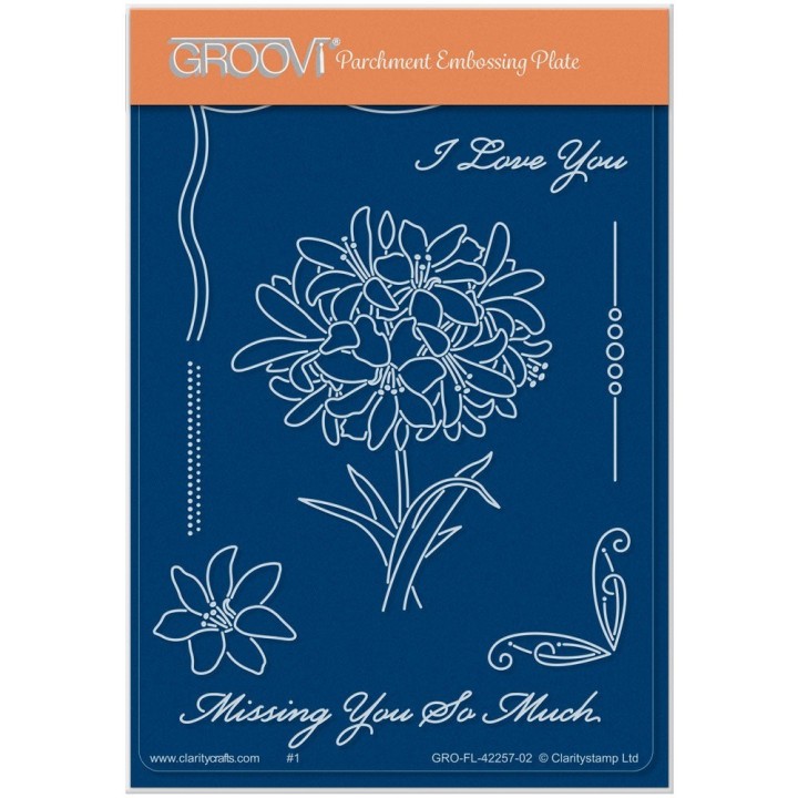(GRO-FL-42257-02)Groovi® plate A6 LINDA'S AGAPANTHUS