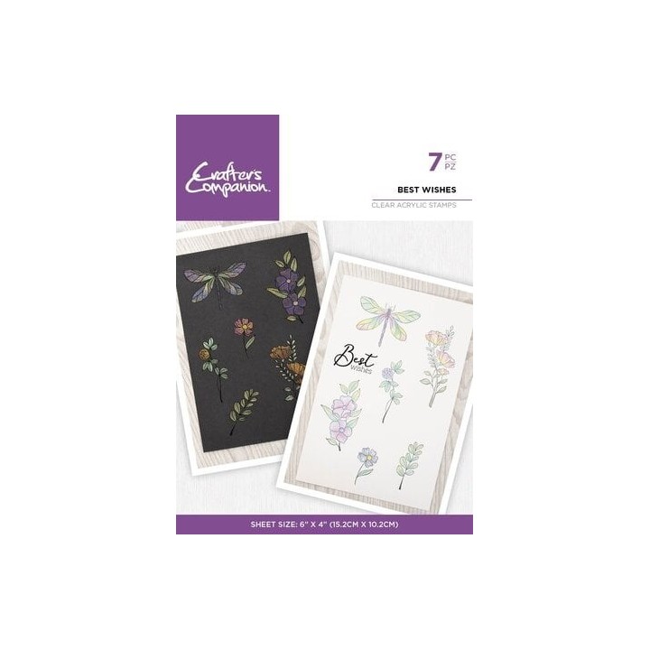 (CC-IST-CA-ST-BEWI)Crafter's Companion Shimmer Watercolour Clear Stamp Best Wishes