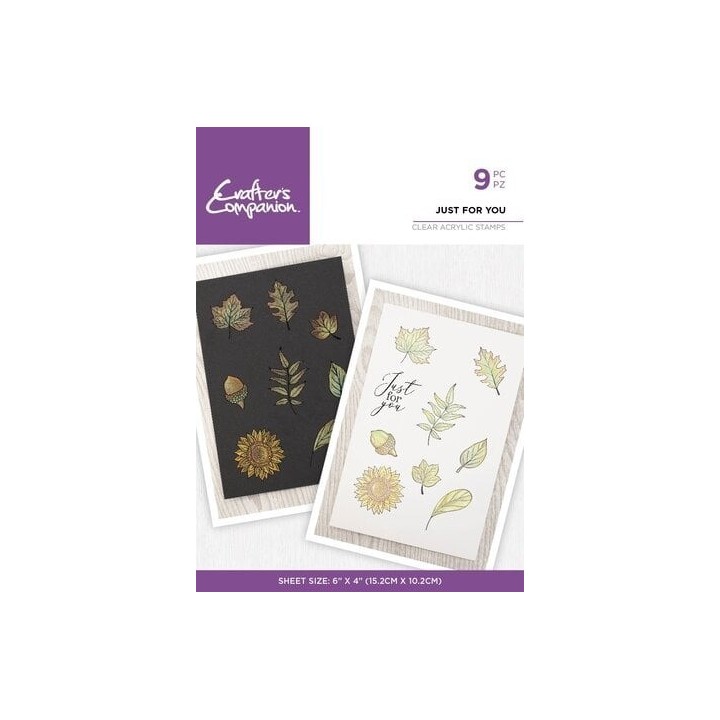 (CC-IST-CA-ST-JUFU)Crafter's Companion Shimmer Watercolour Clear Stamp Just For You
