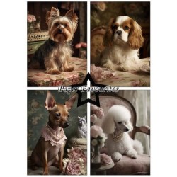 (PFA126)Paper Favorites Shabby Dogs A5 Paper Pack
