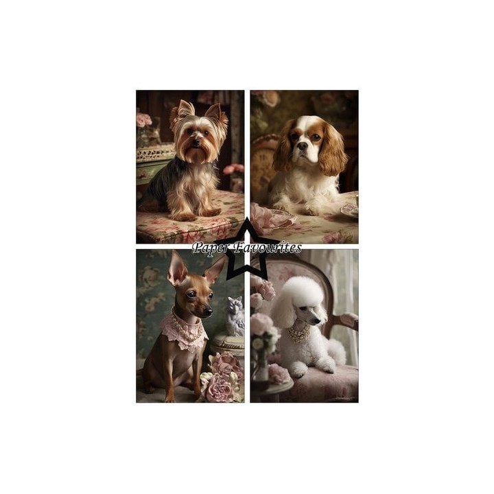 (PFA126)Paper Favorites Shabby Dogs A5 Paper Pack