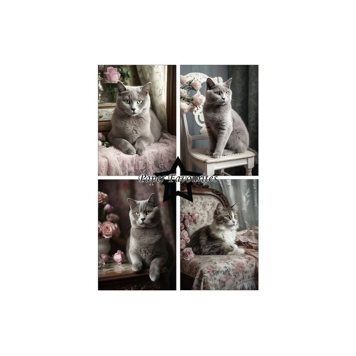 (PFA125)Paper Favorites Shabby Cats A5 Paper Pack