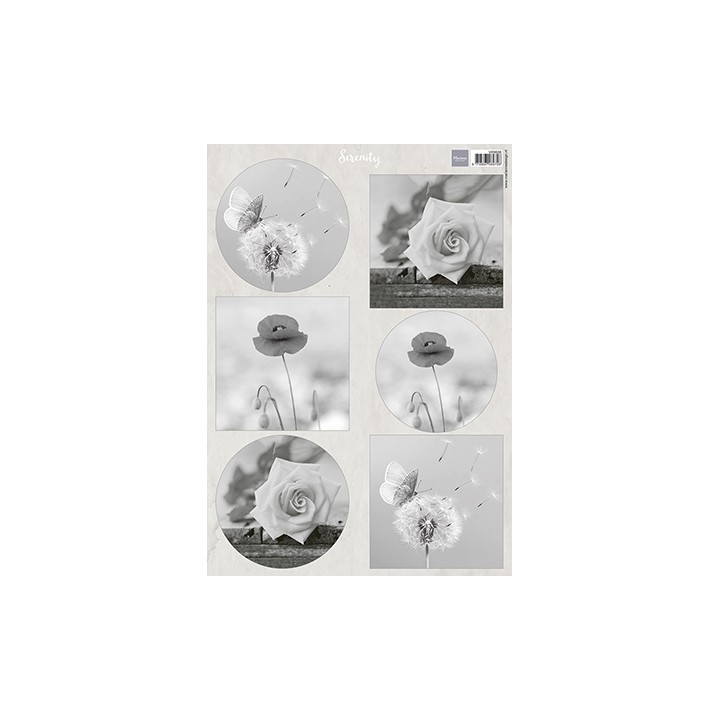 (VK9608) Serenity Flowers