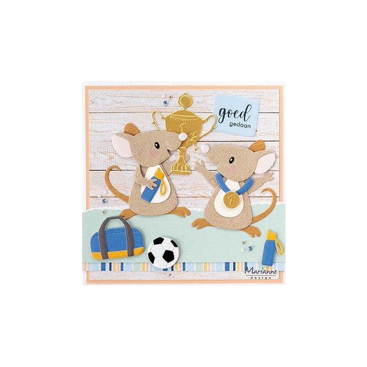 (COL1548)Collectables Sport Accessories by Marleen