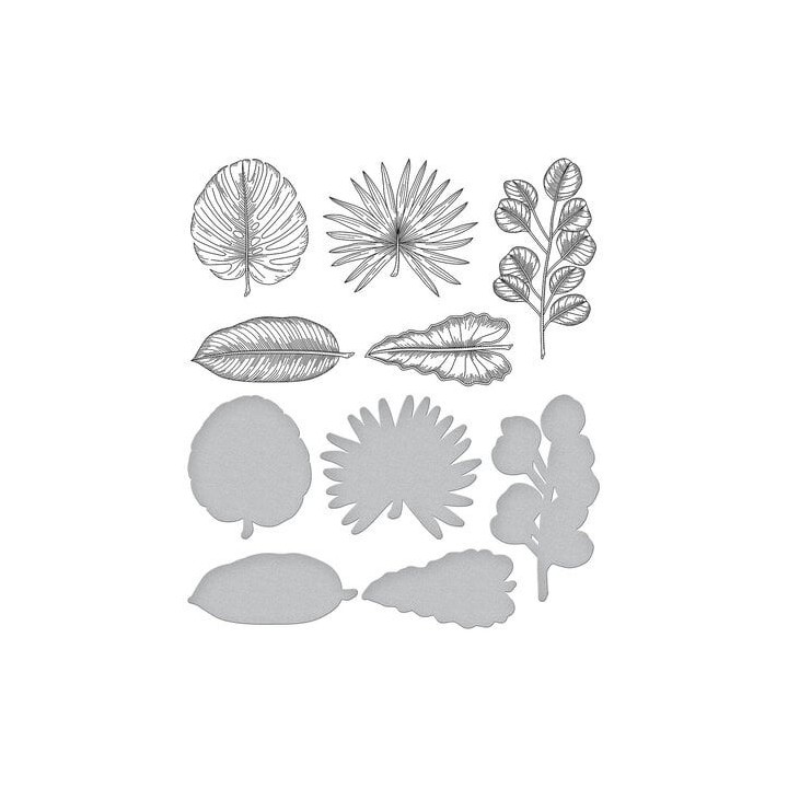 (BP155)Spellbinders Tropical Leaves Press Plate & Die Set
