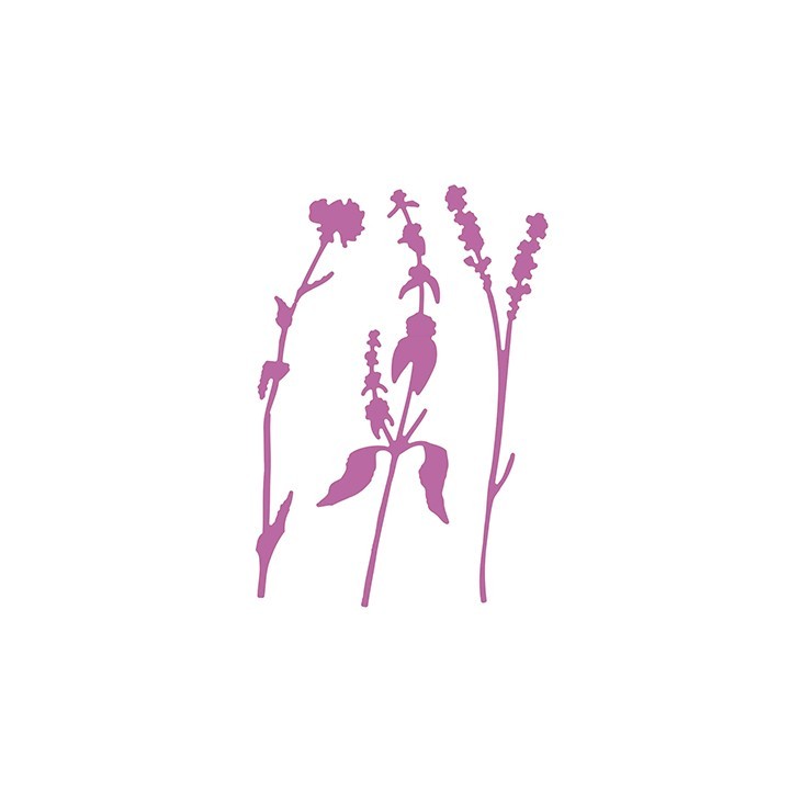 (SD333)Nellie's shape dies Flowers