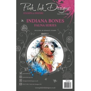 (PI261)Pink Ink Designs Indiana Bones A5 Clear Stamps