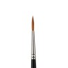 Brush