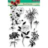 Stempeln Clear Penny Black