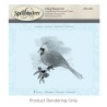 Stempeln Clear Spellbinders
