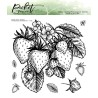 Stampeln clear Picket Fence Studios