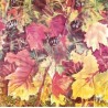 Pergamentpapier 30.5*30.5
